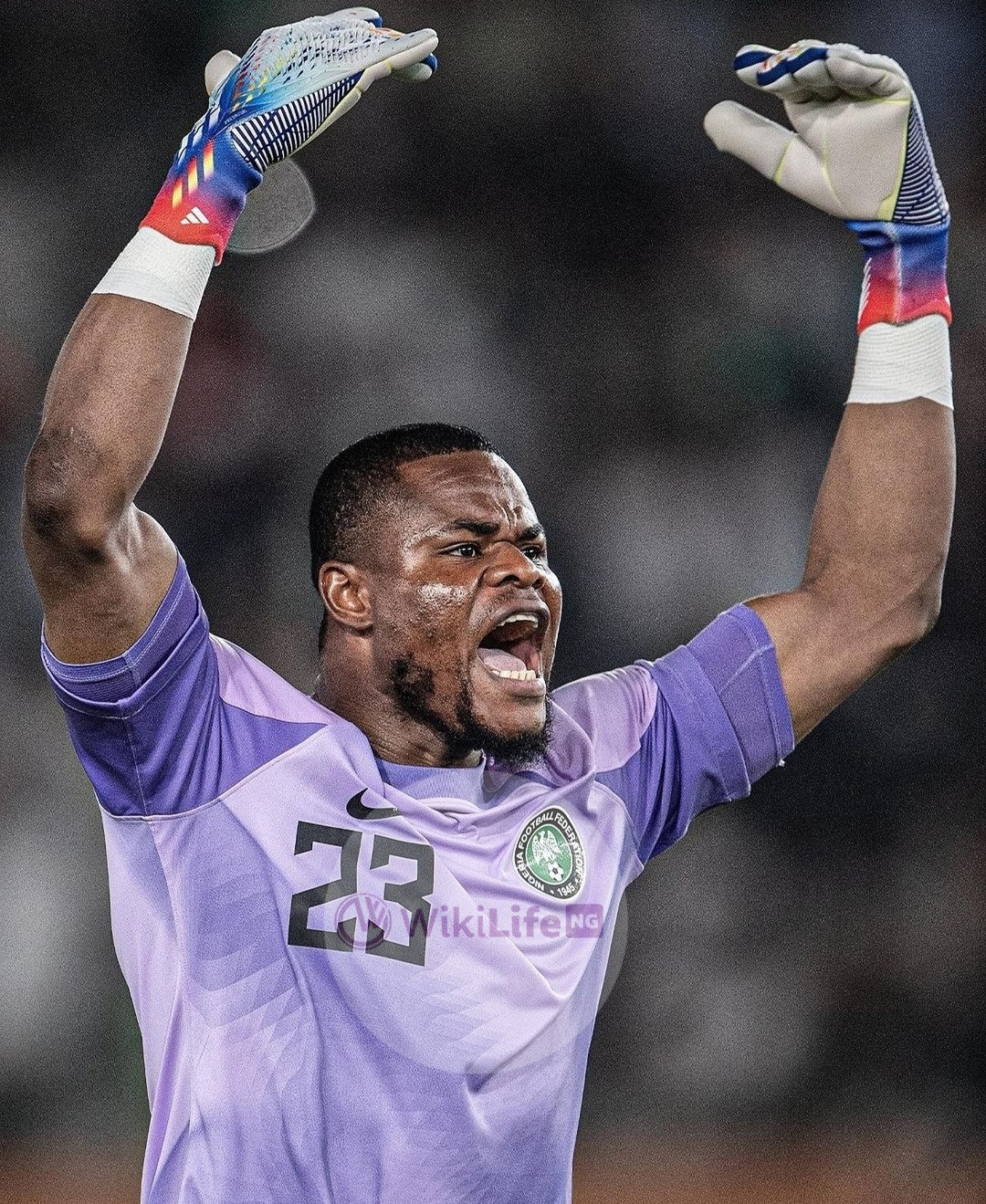 Stanley Nwabali