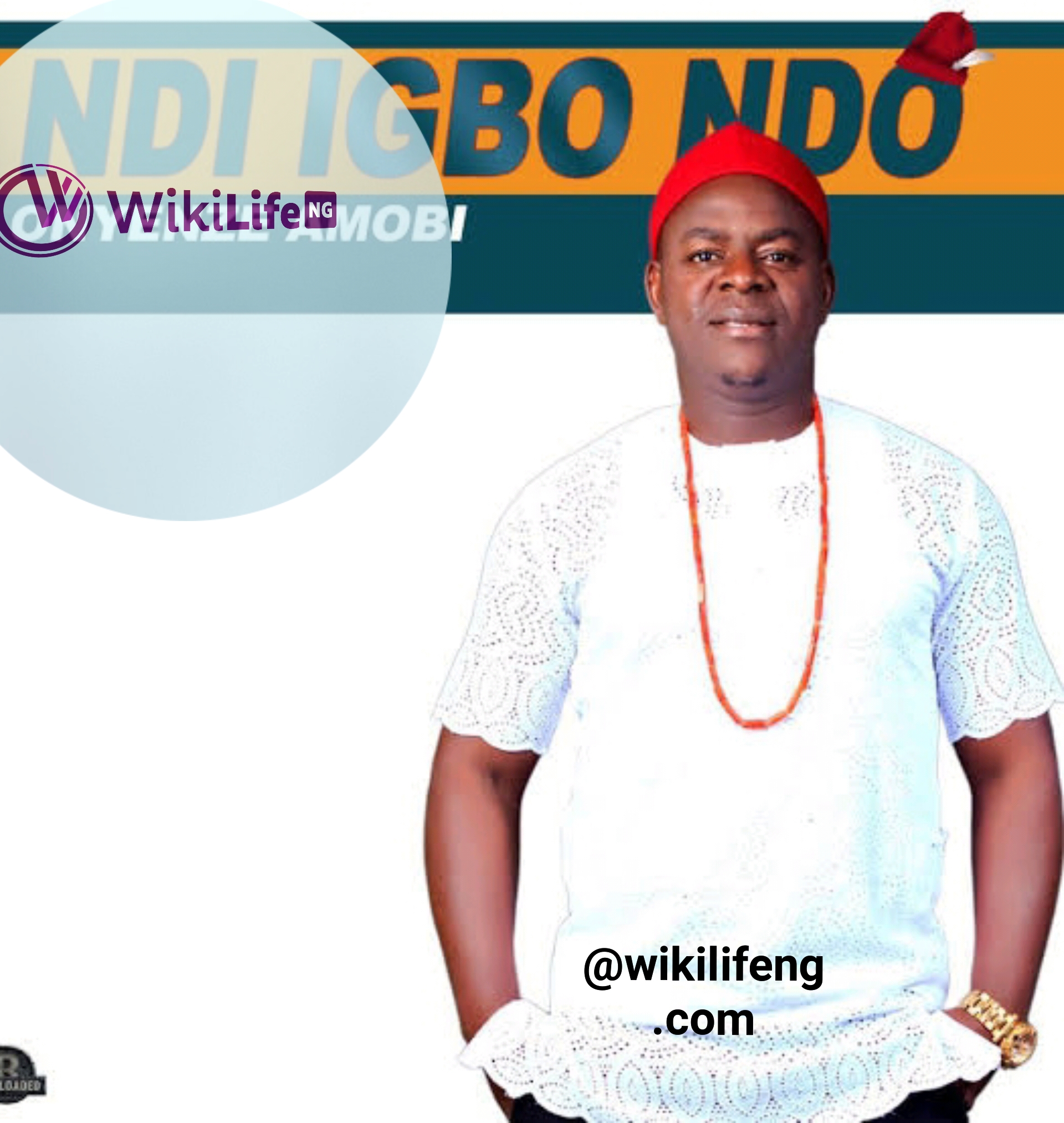 Chief Onyenze Nwa Amobi 